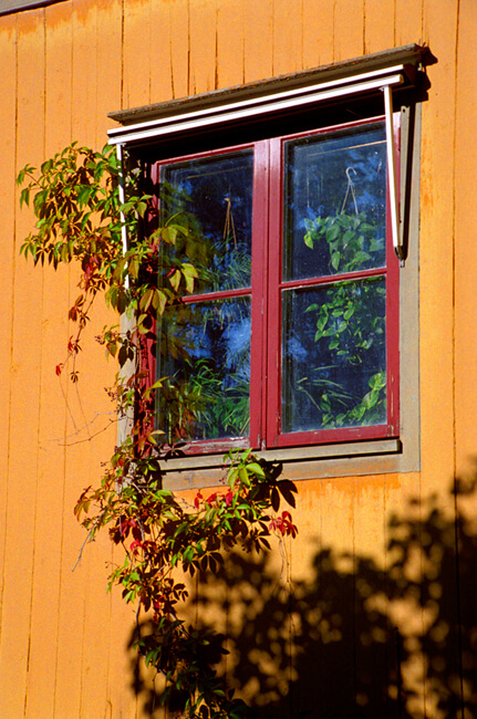 Skansen