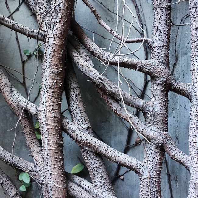 Complexity