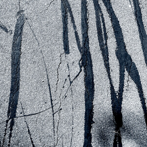 In Bold Strokes #2221