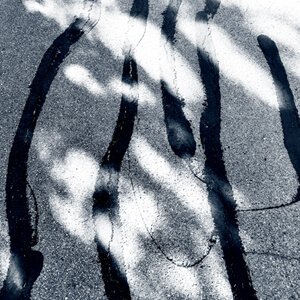 In Bold Strokes #2218