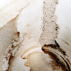 Brewed Awakenings Exhibition