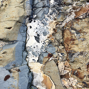 In Plain Sight Exhibition