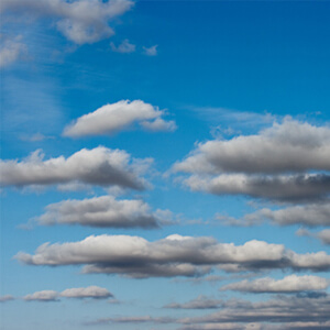 Looking Up Exhibition