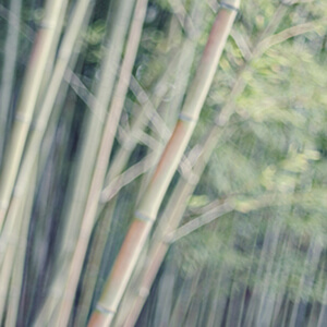 On the cusp Exhibition