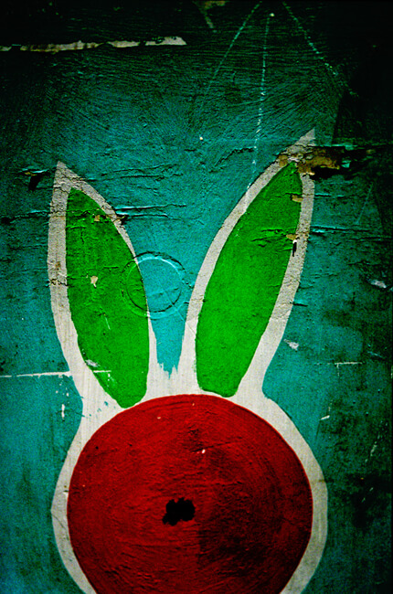 Rabbit Ears