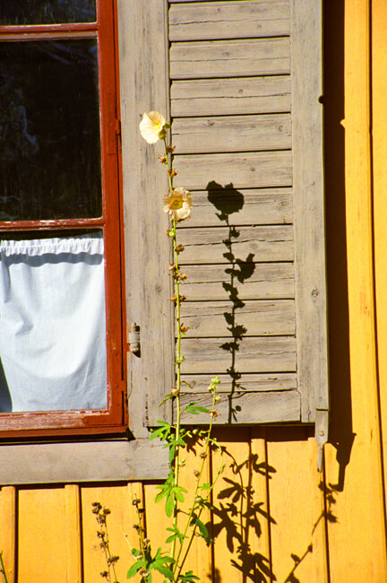 Skansen