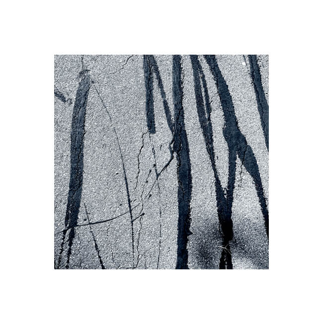 In Bold Strokes #2221