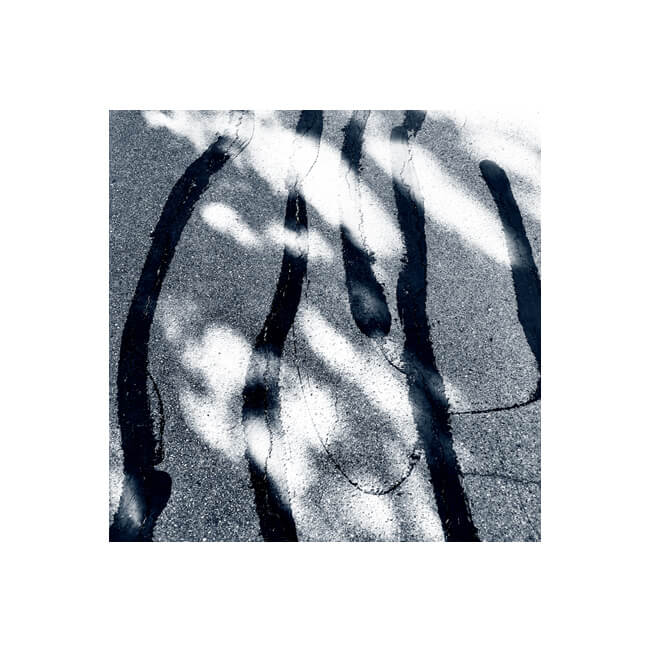 In Bold Strokes #2218