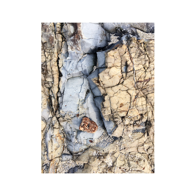 In Plain Sight #2305
