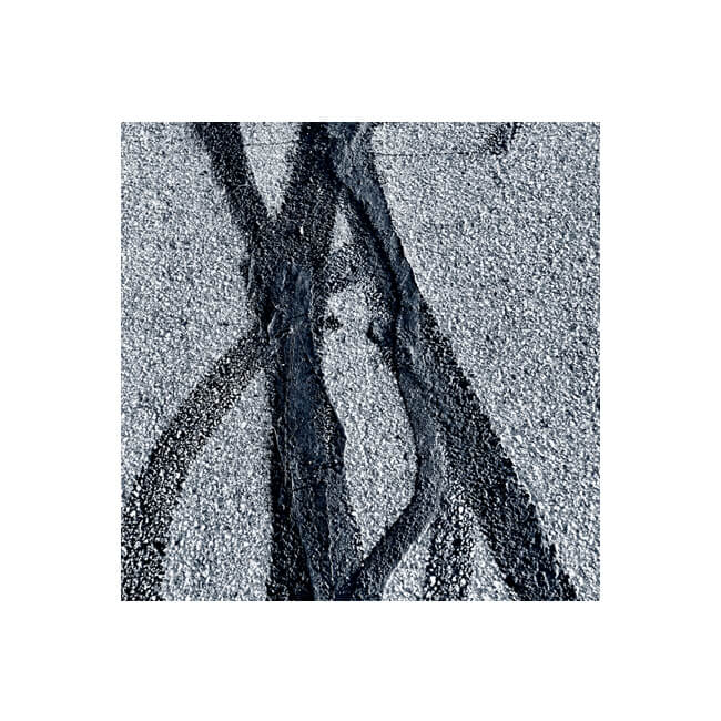 In Bold Strokes #2523