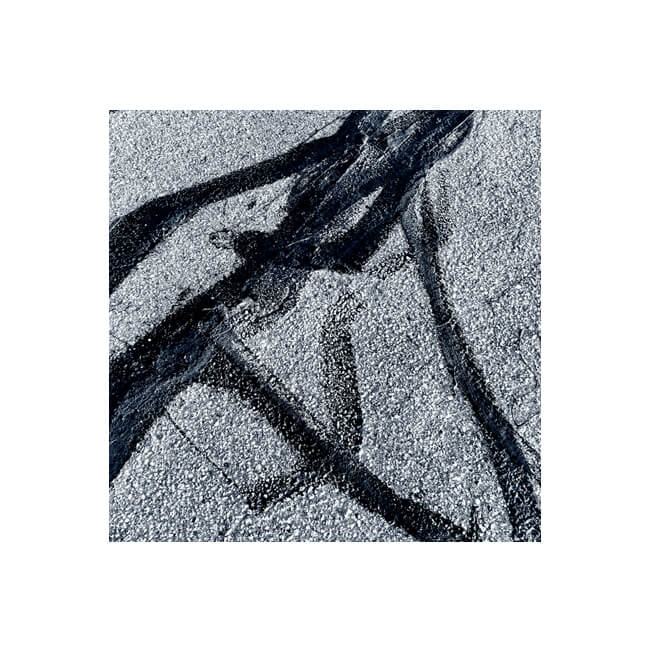 In Bold Strokes #2516