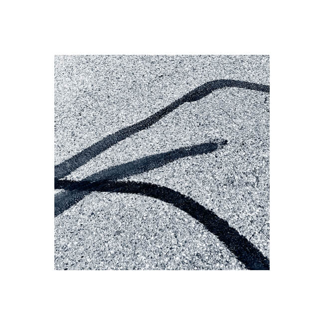 In Bold Strokes #2519