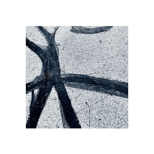 In Bold Strokes #2509