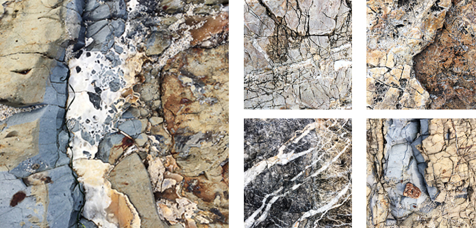 In Plain Sight Exhibition