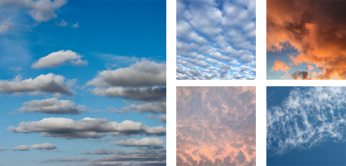 Looking Up Exhibition