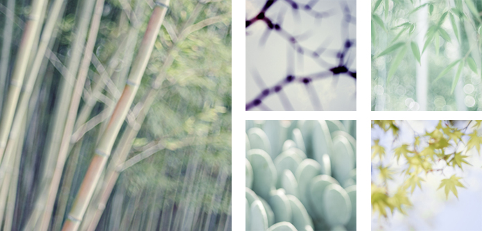 On the cusp Exhibition