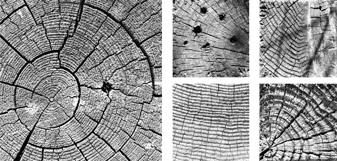 Weathered Exhibition